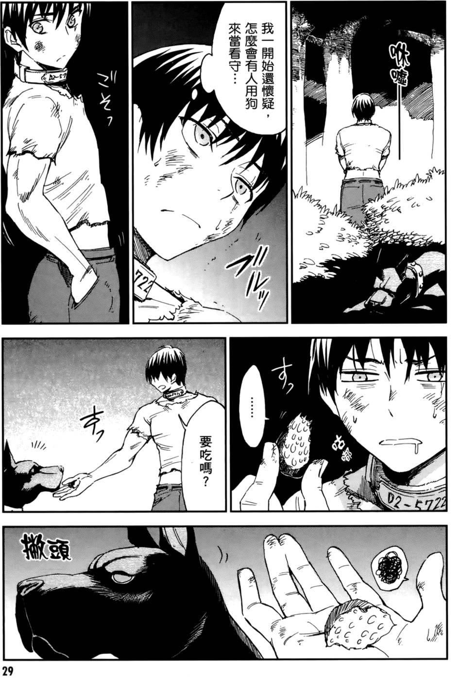 第29页