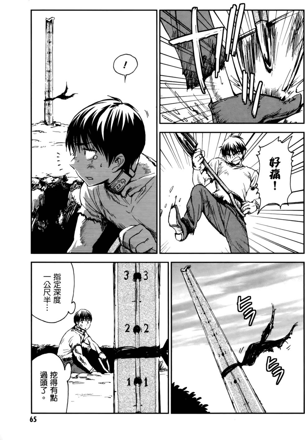 第65页