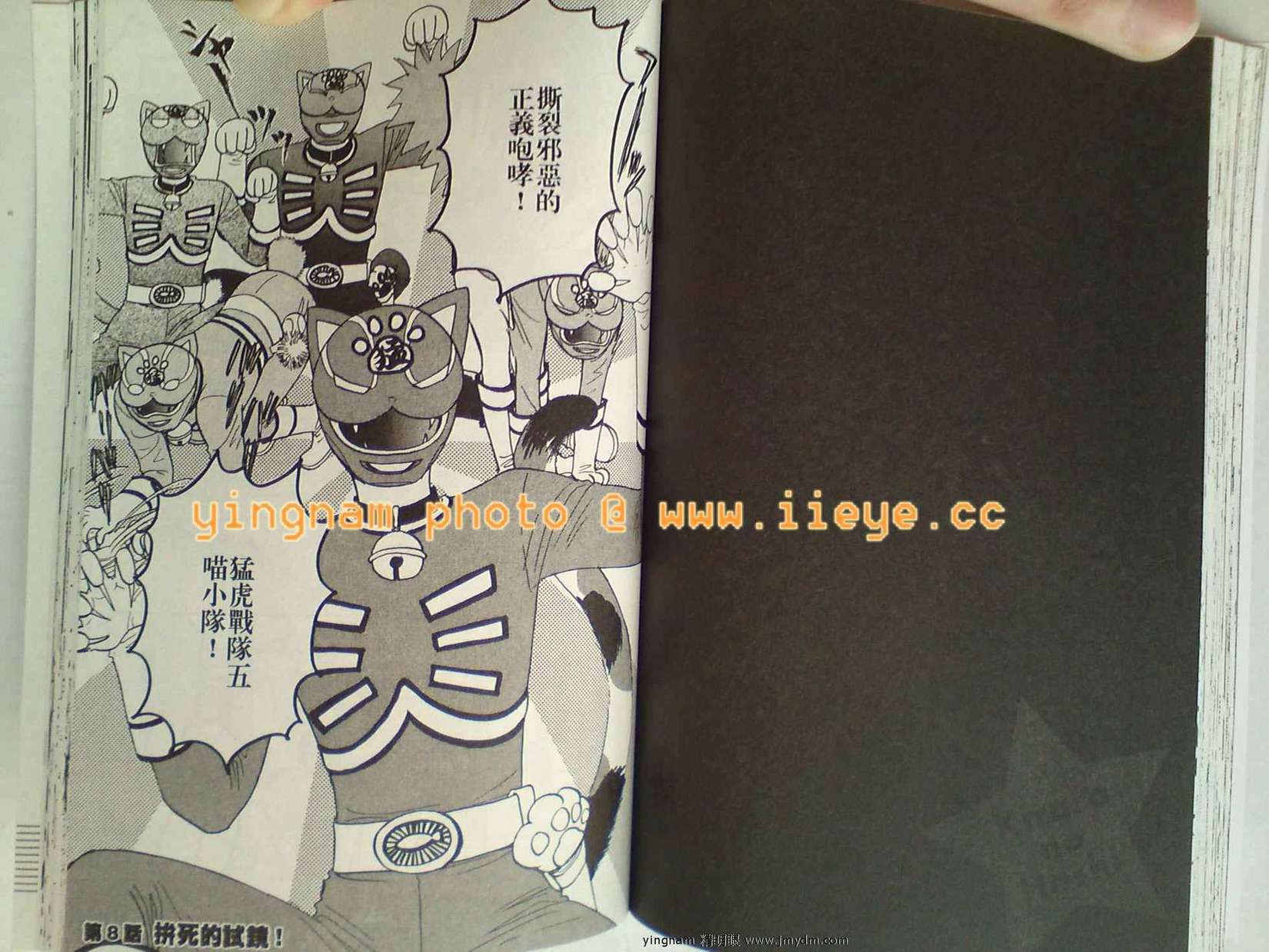 第61页