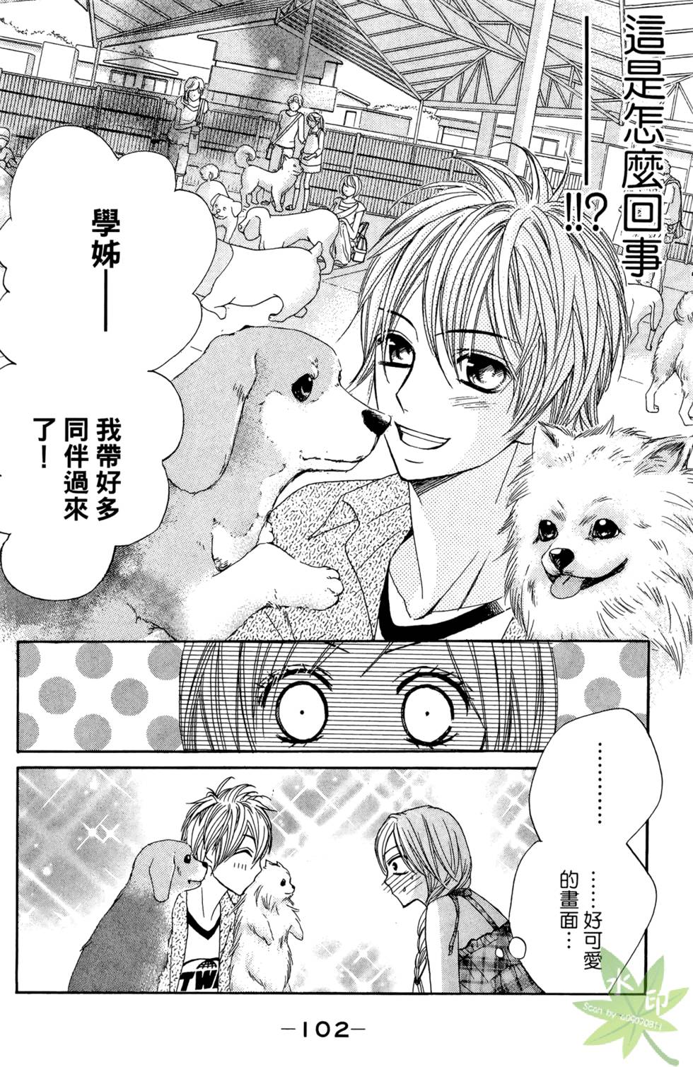 第101页
