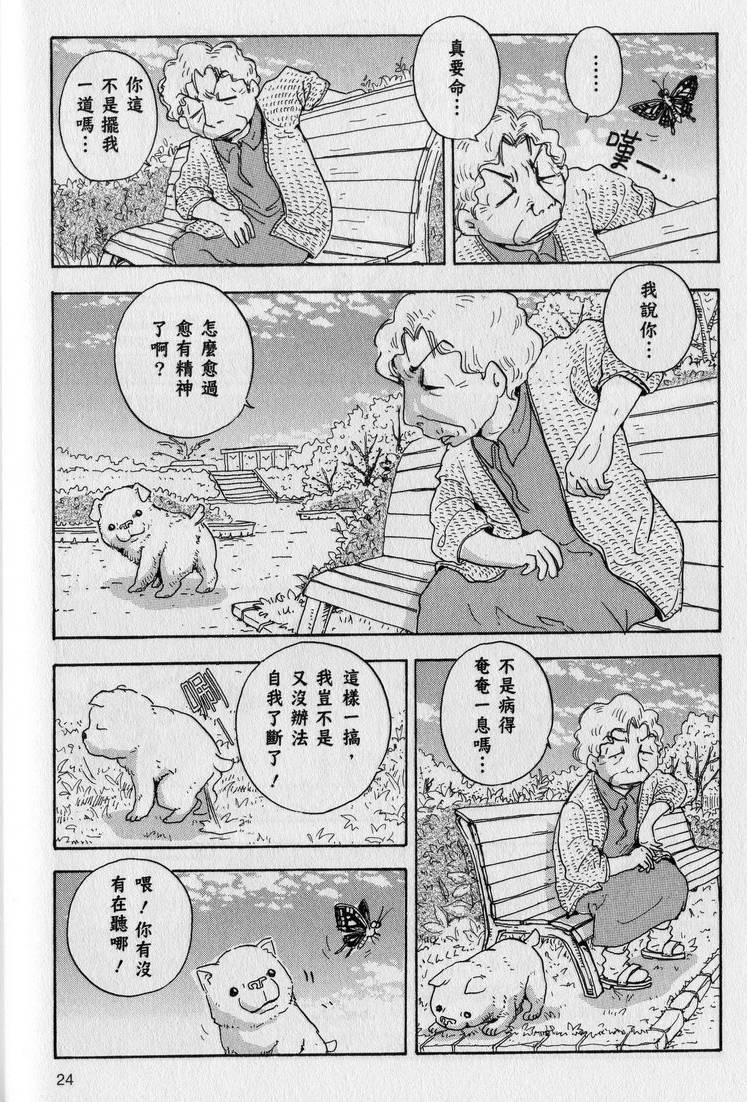 第25页