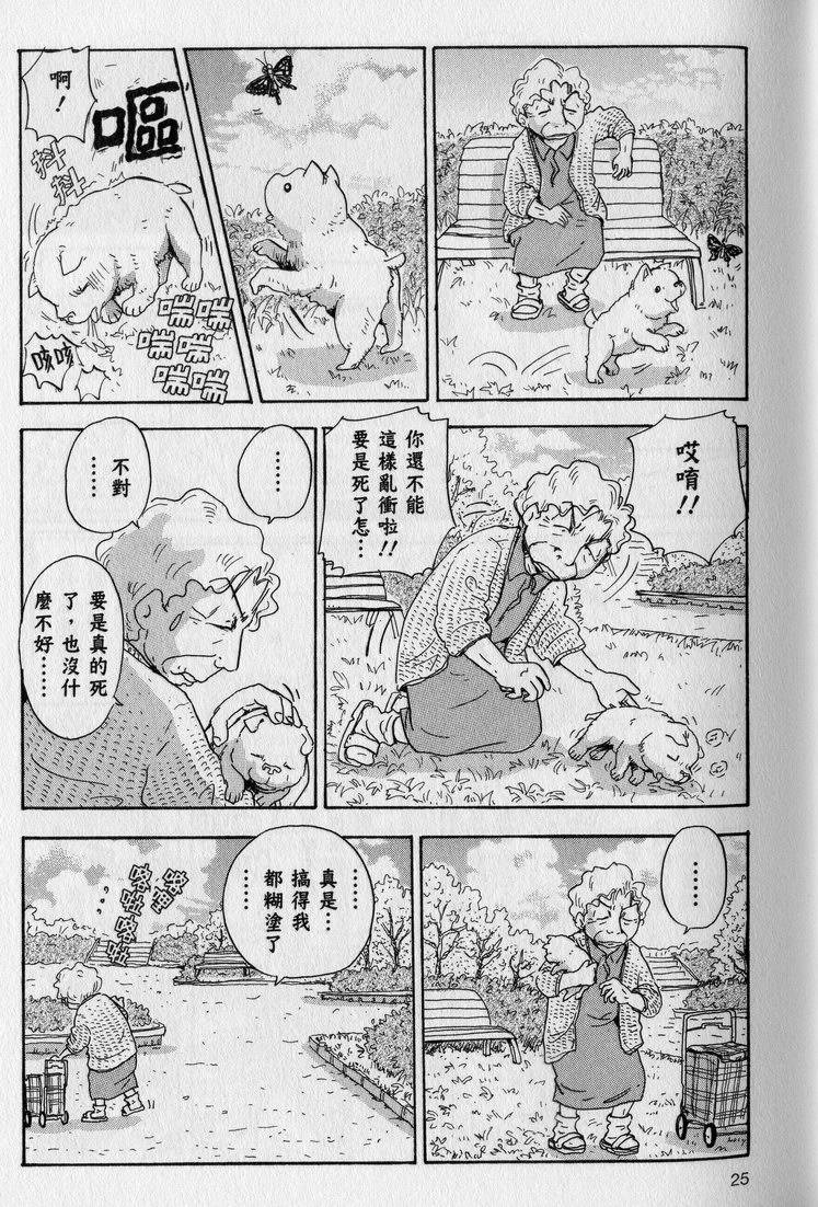 第26页