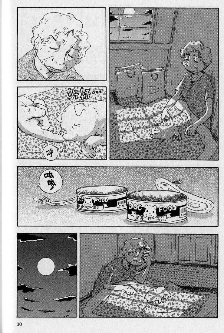 第31页