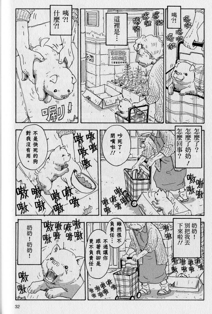 第33页