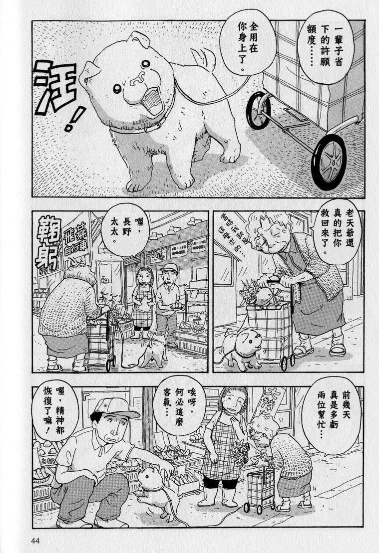 第45页
