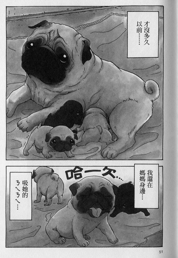 第52页
