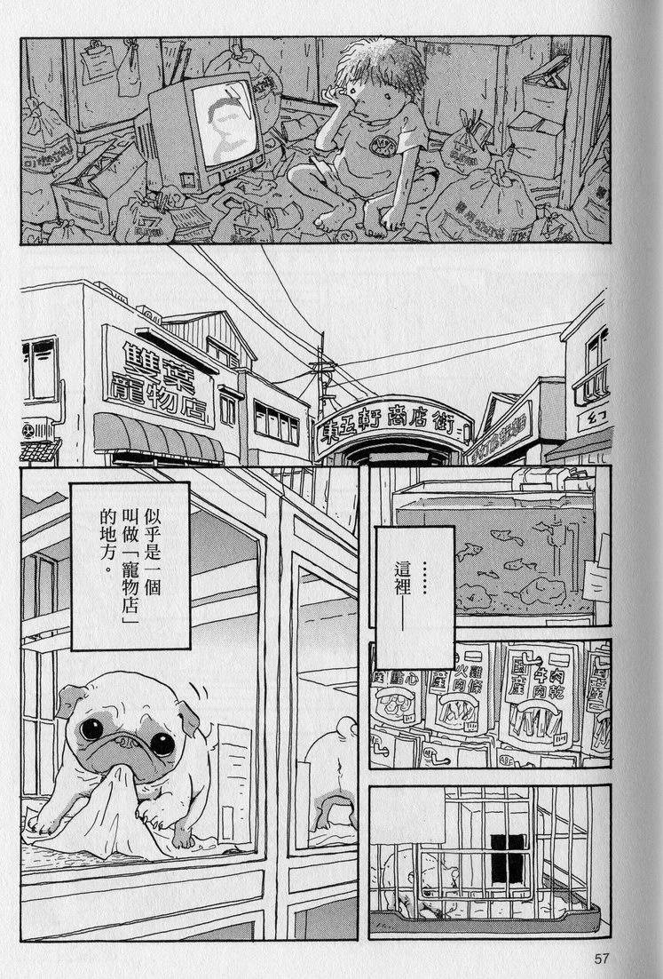 第58页