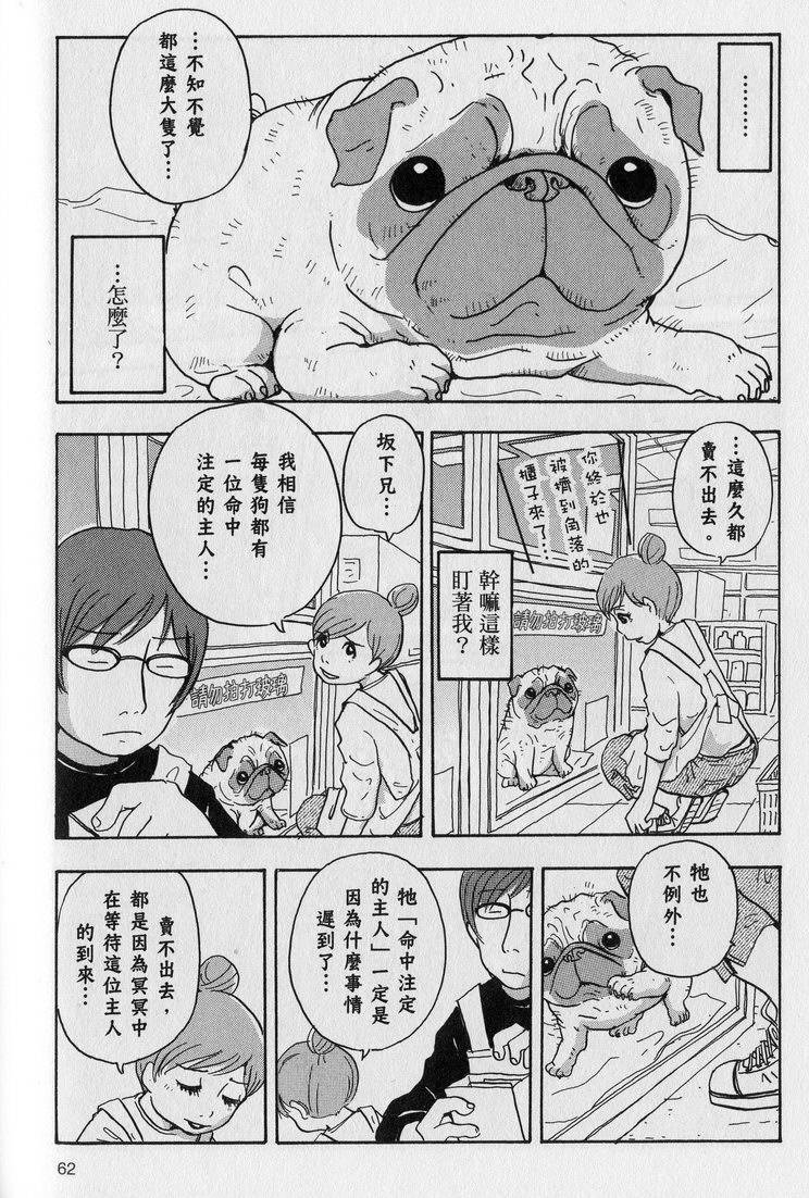 第63页
