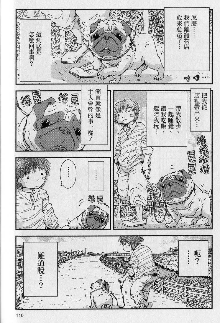 第111页