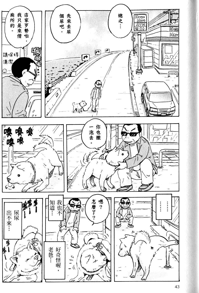 第43页