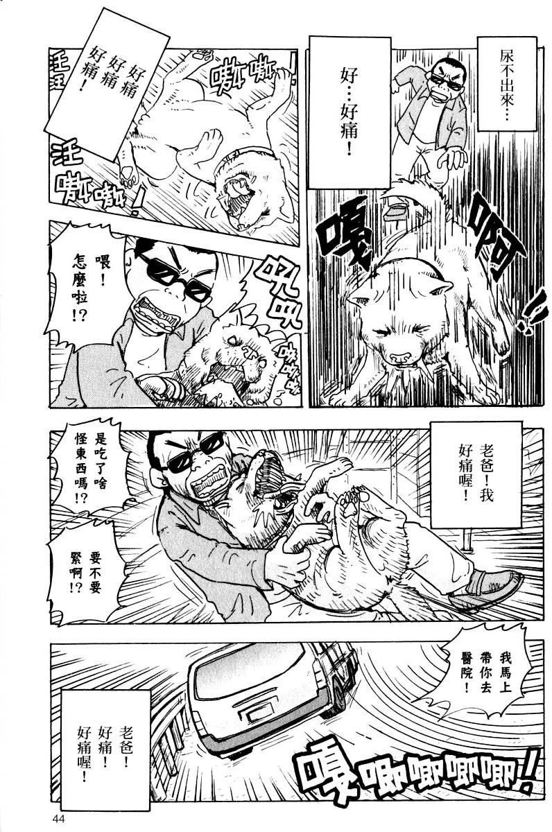 第44页