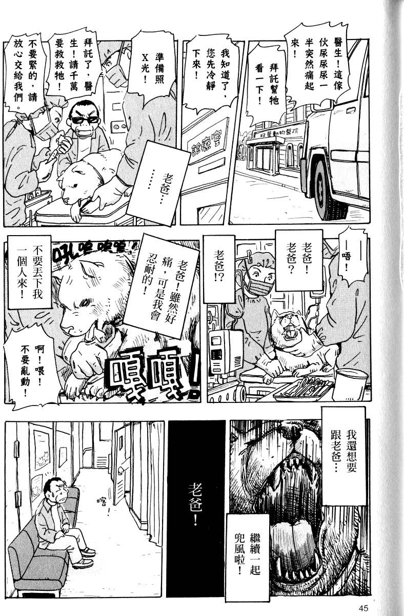 第45页