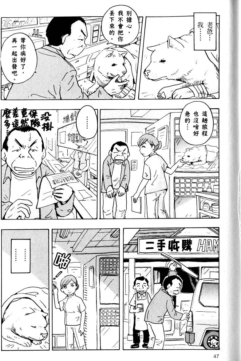 第47页