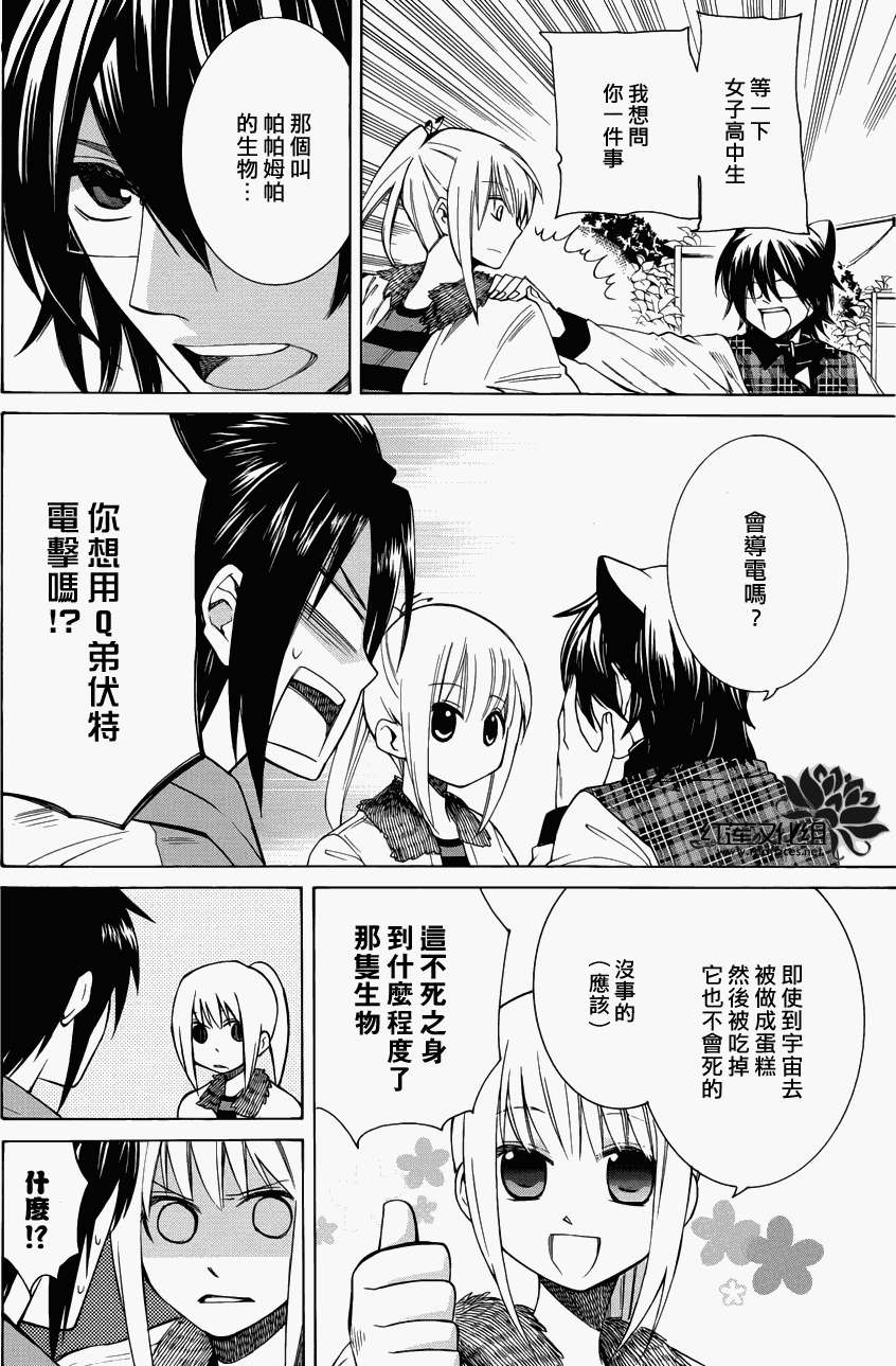 第29页