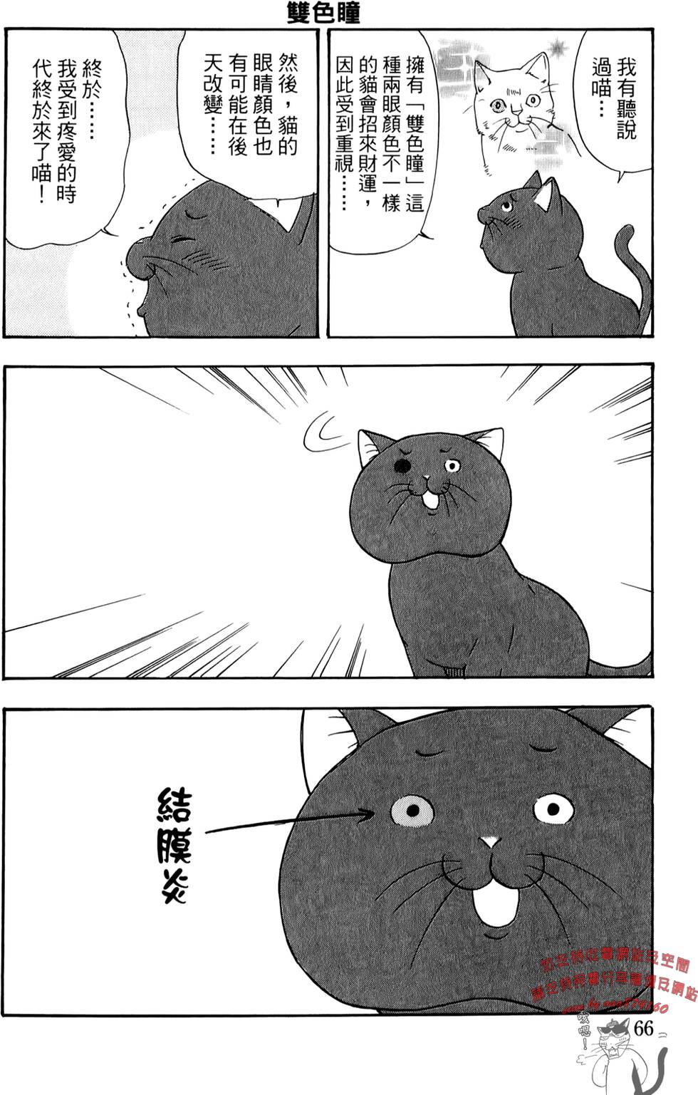 第66页