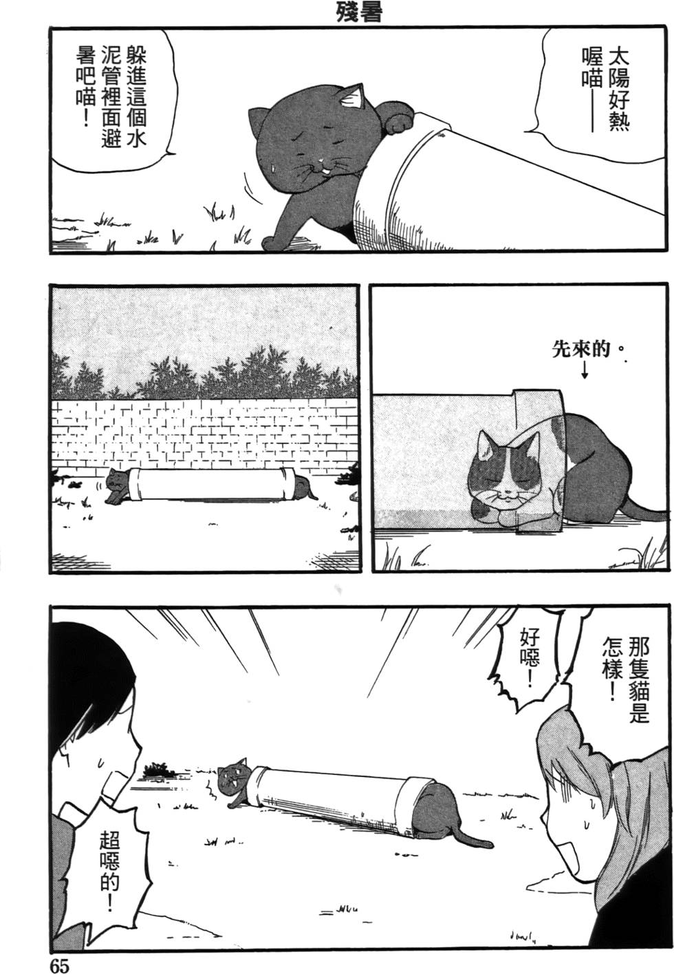 第66页