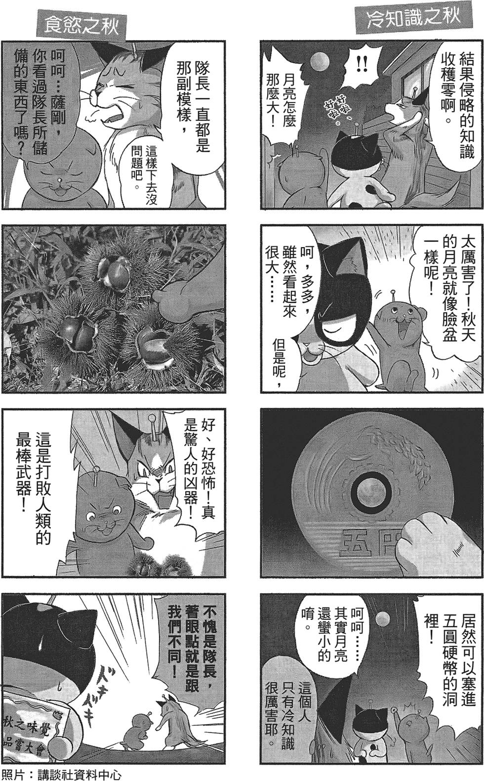第117页