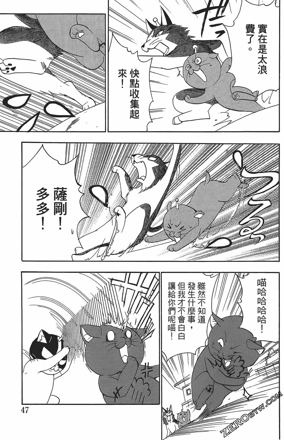 第43页