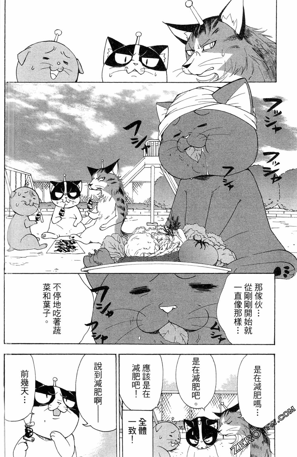 第80页