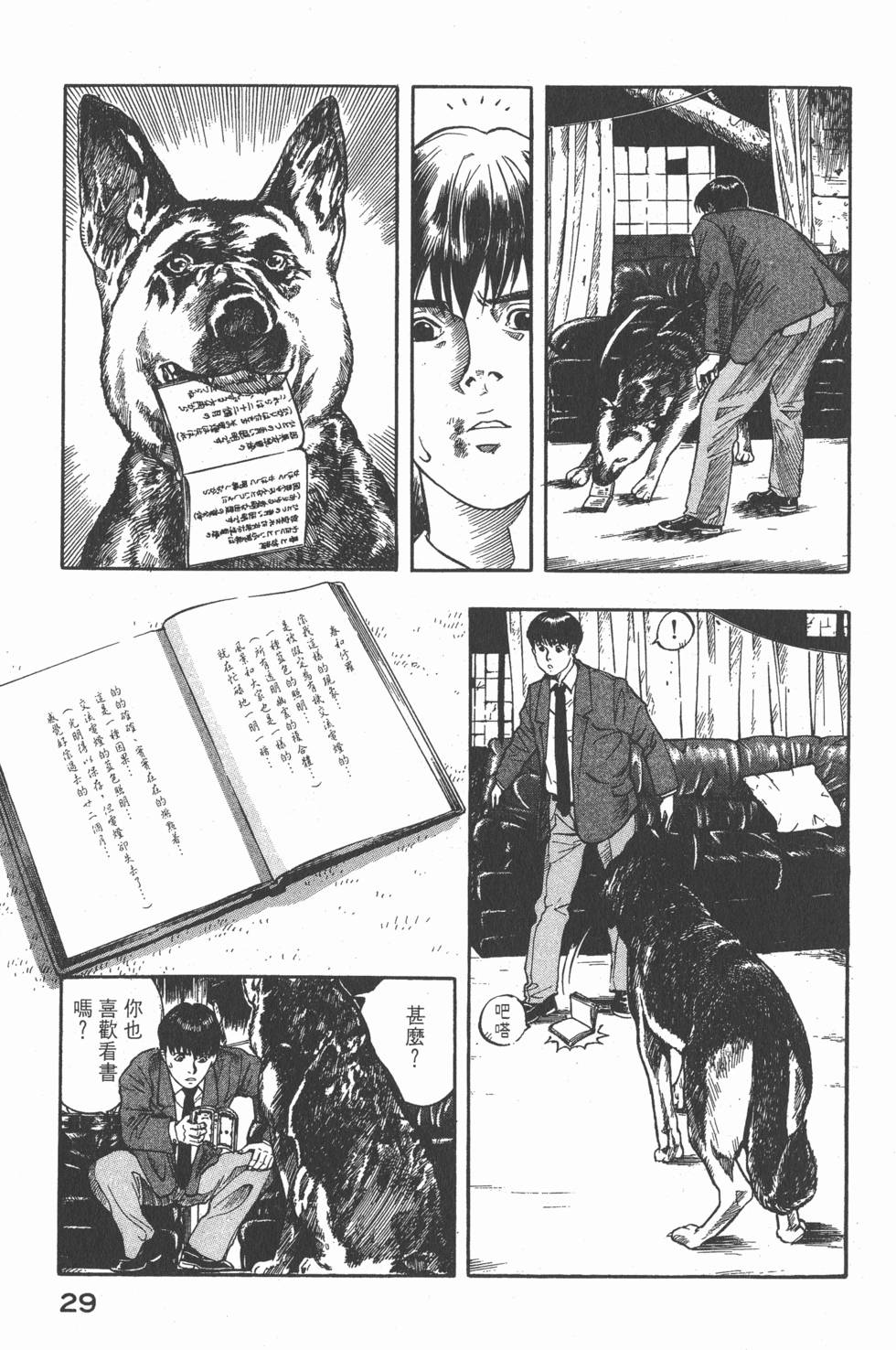 第27页