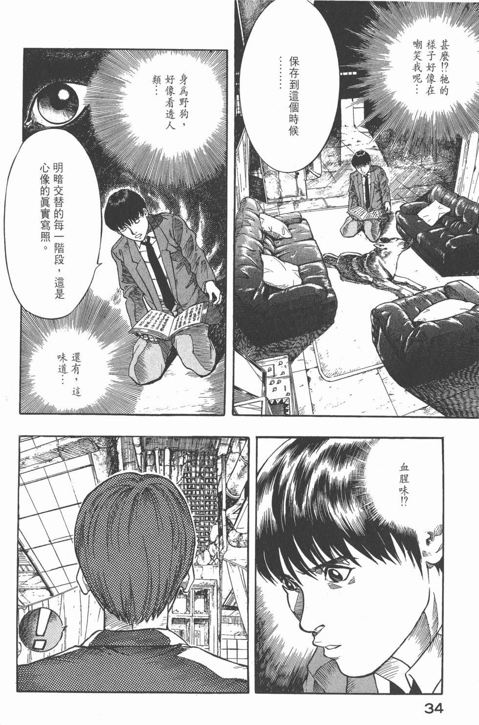 第32页