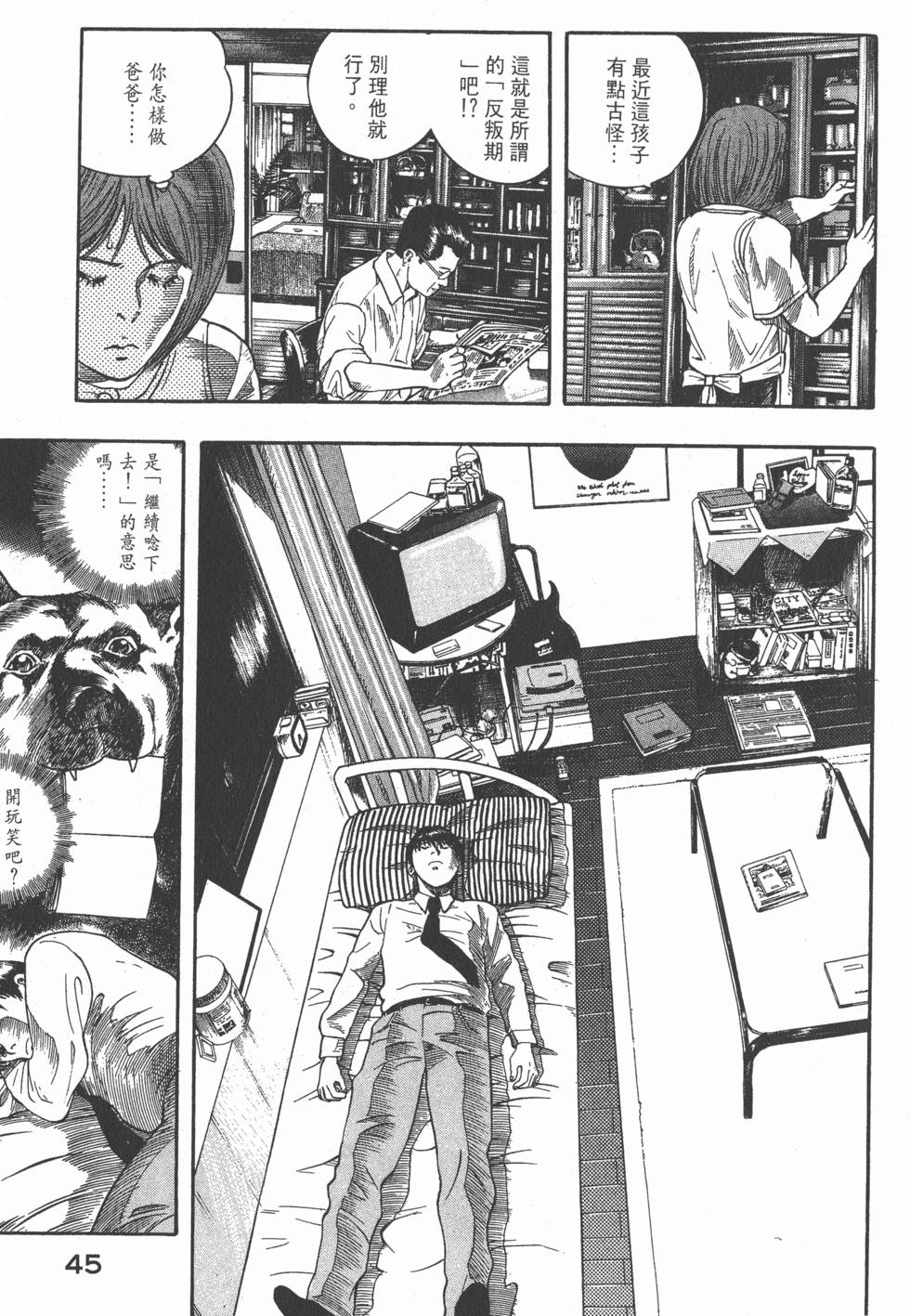 第43页
