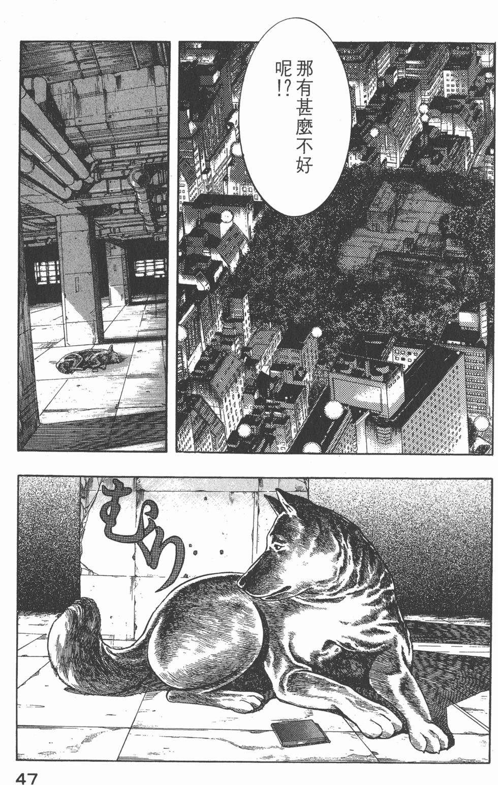 第45页
