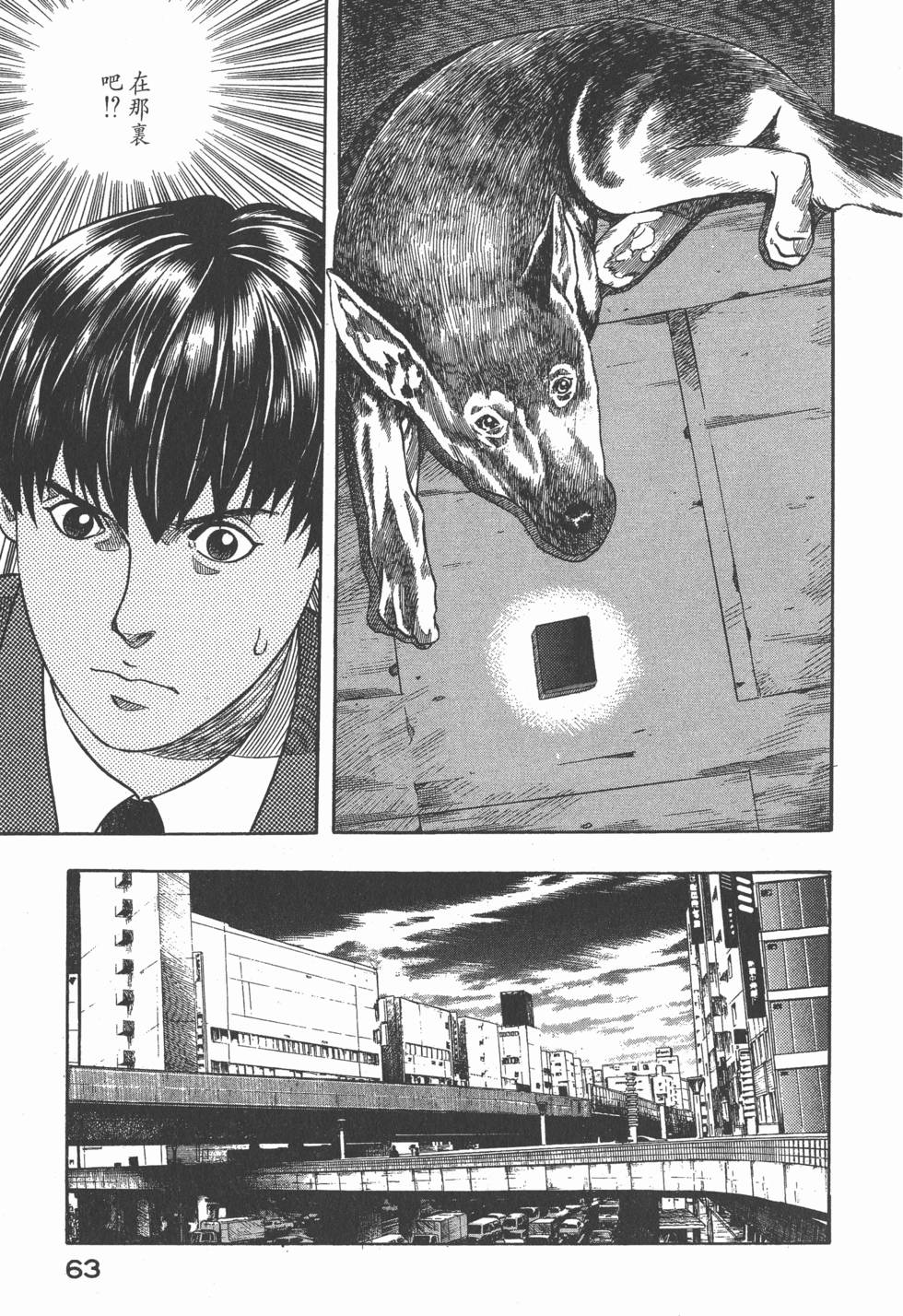 第61页