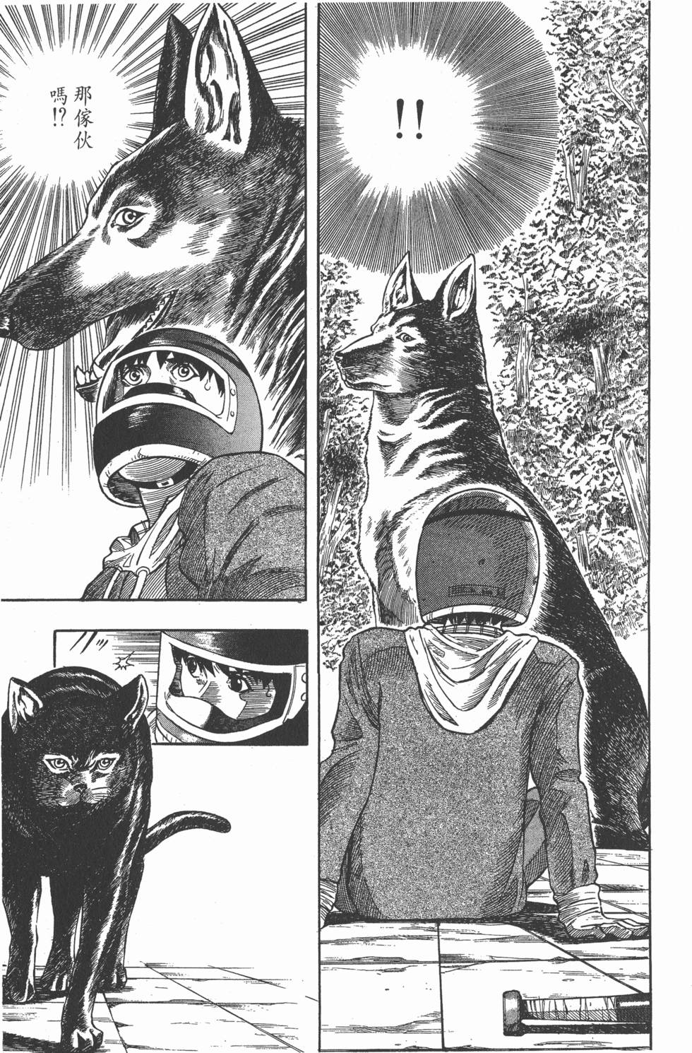 第73页