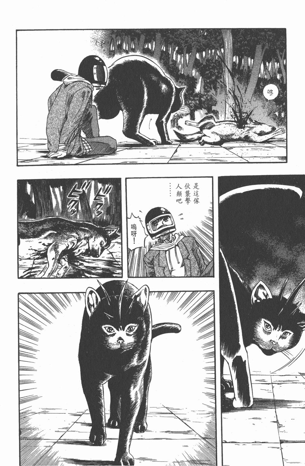 第78页