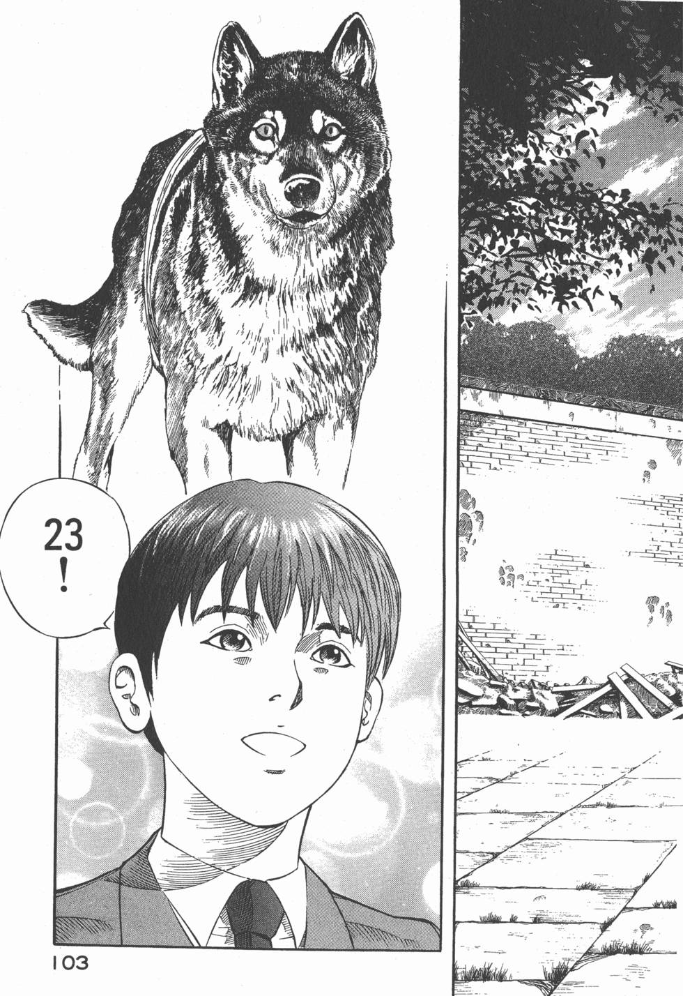 第101页