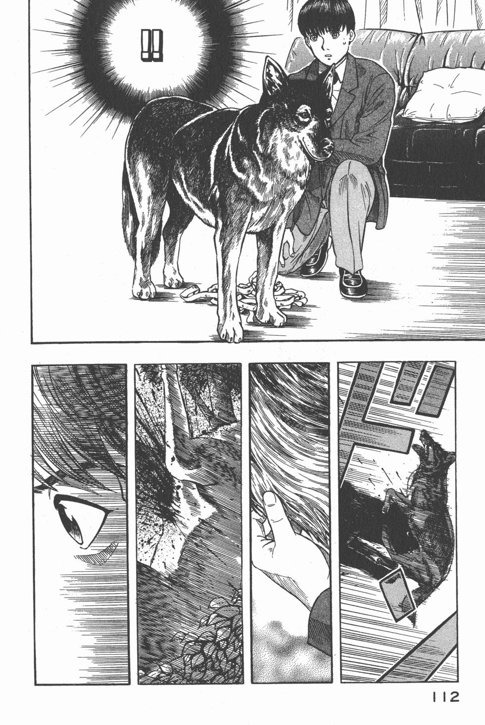 第110页