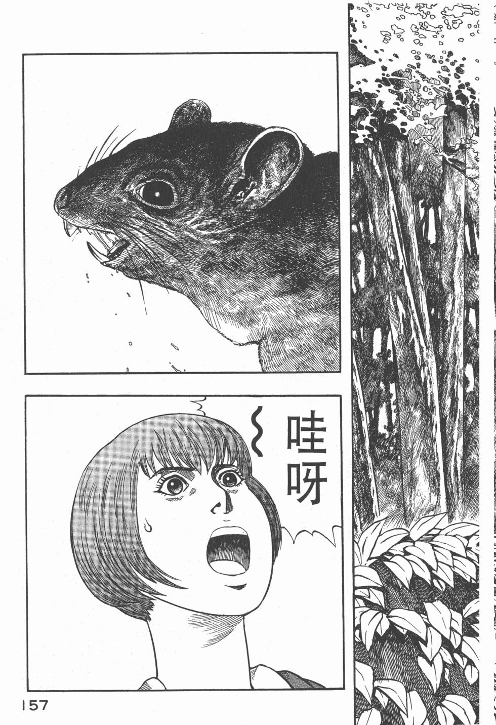 第155页