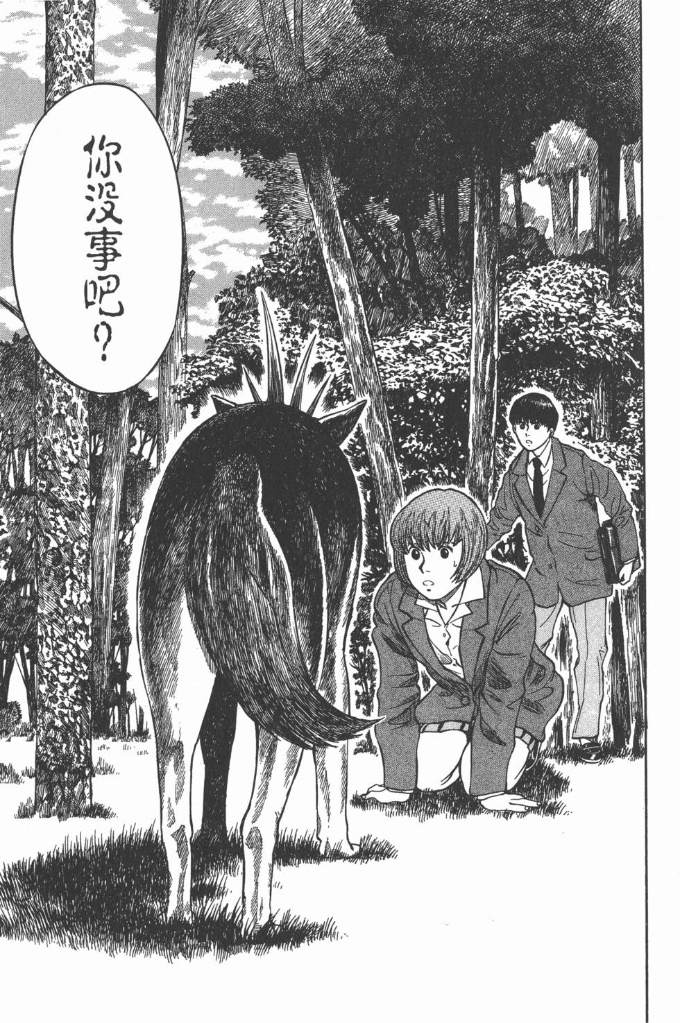 第161页