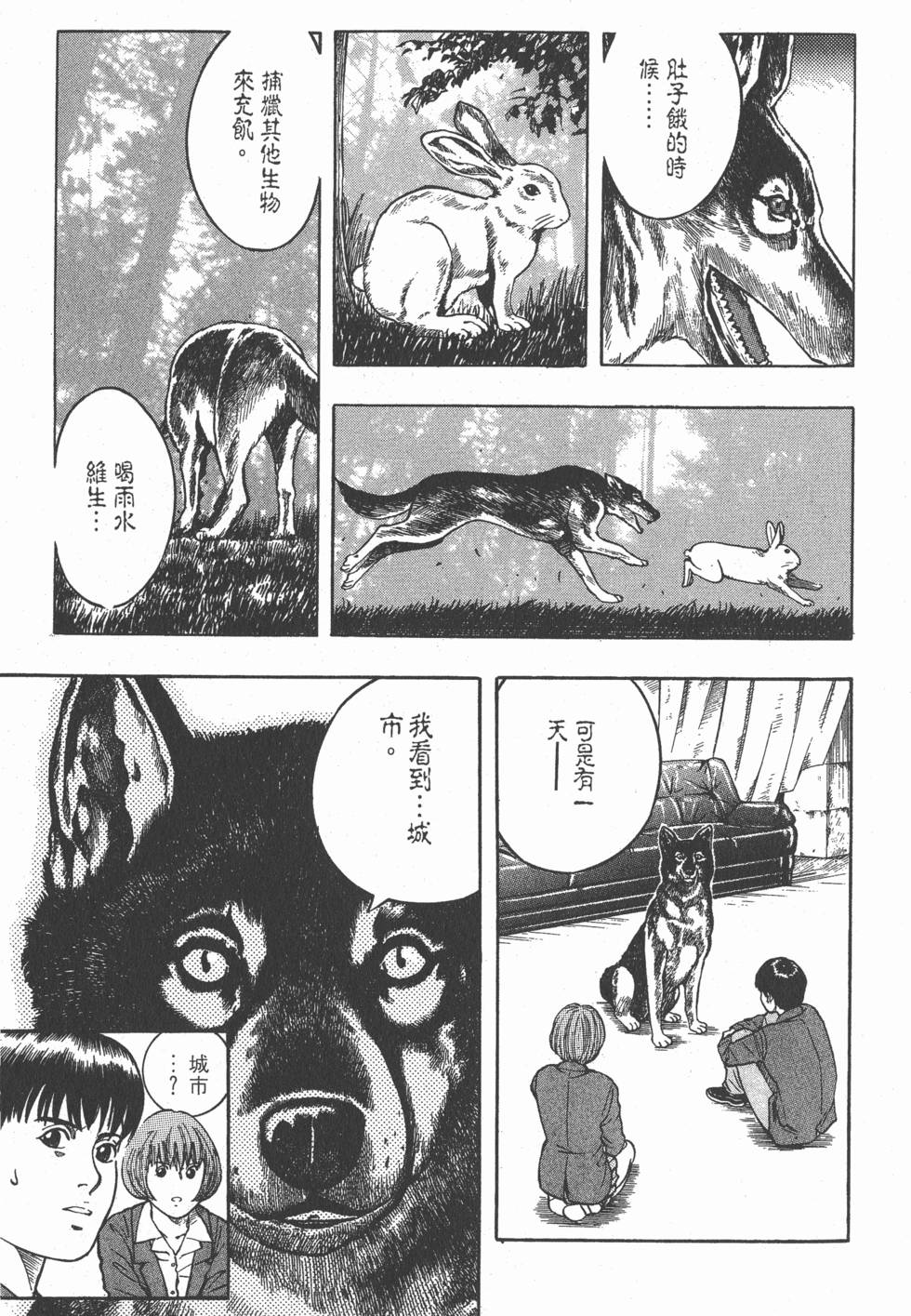 第171页