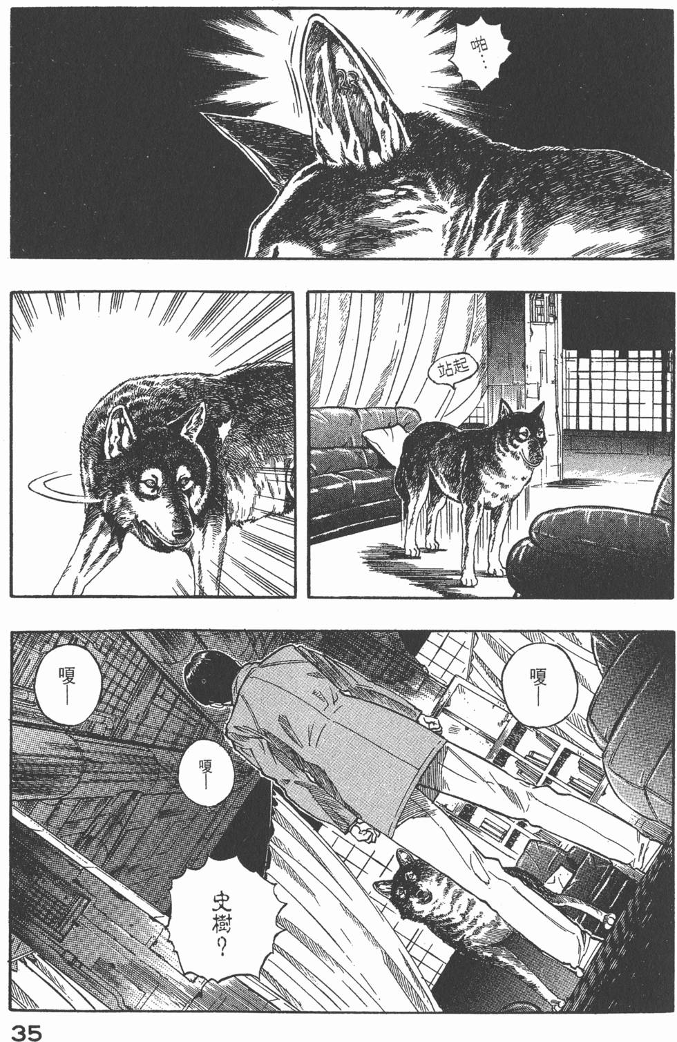 第33页