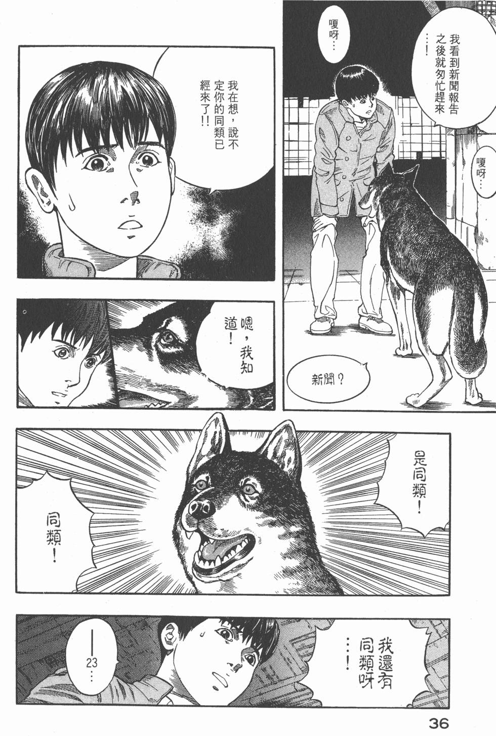 第34页