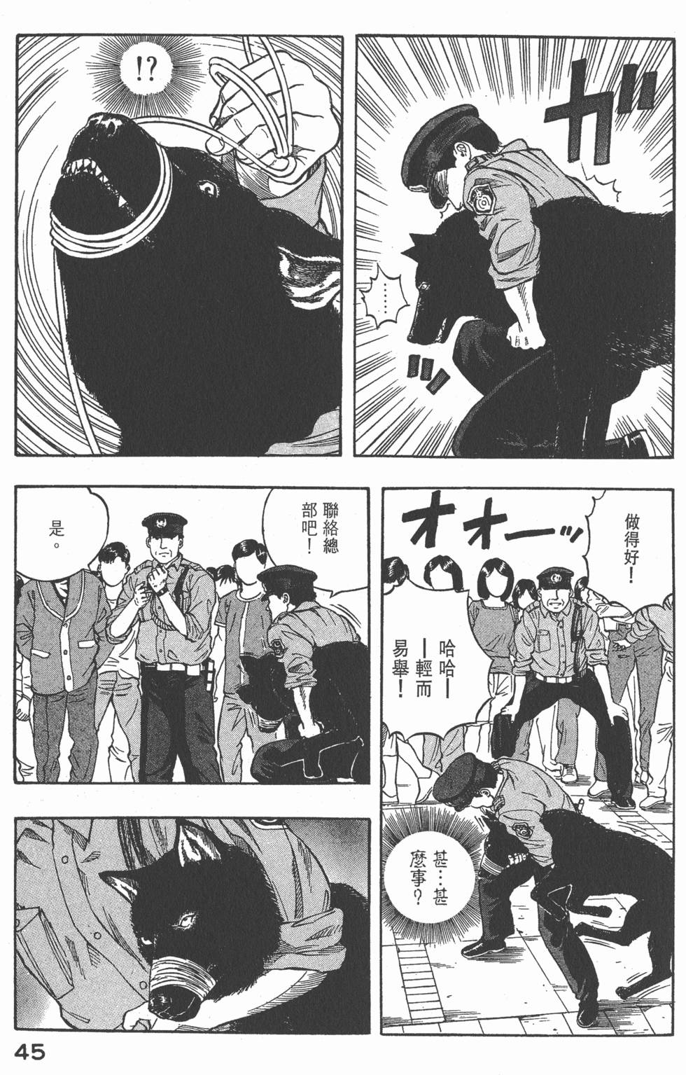 第43页