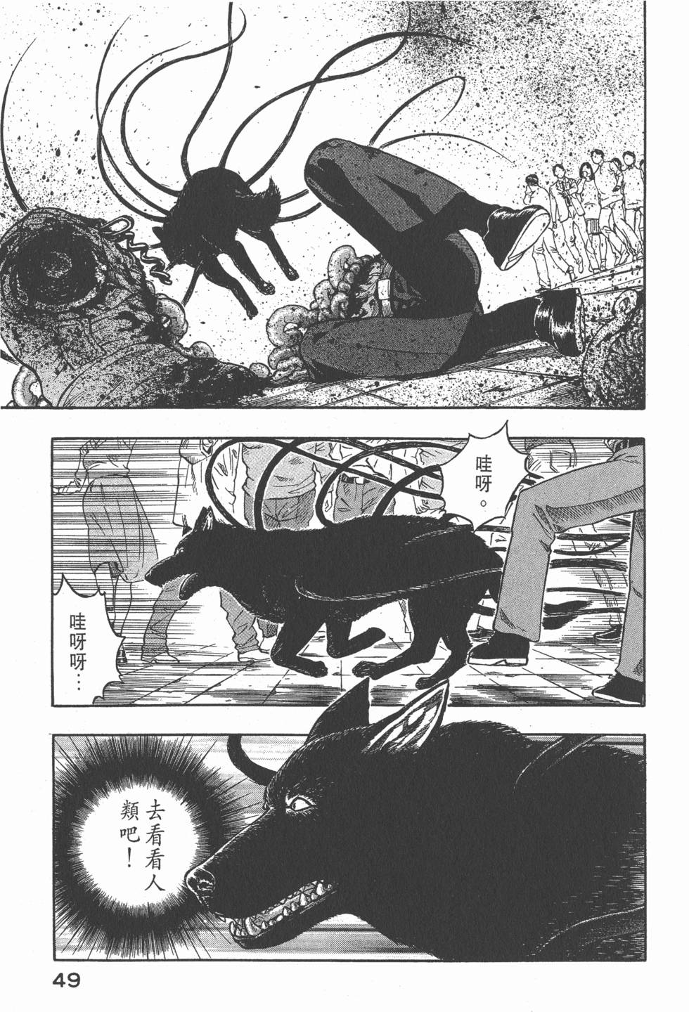 第47页