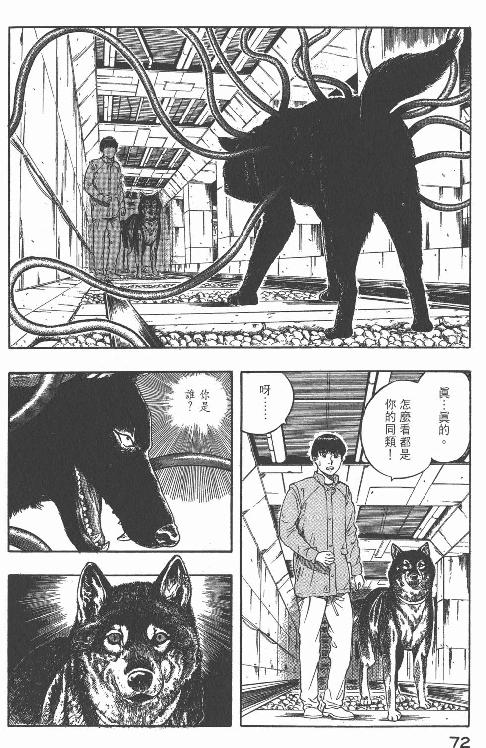 第70页