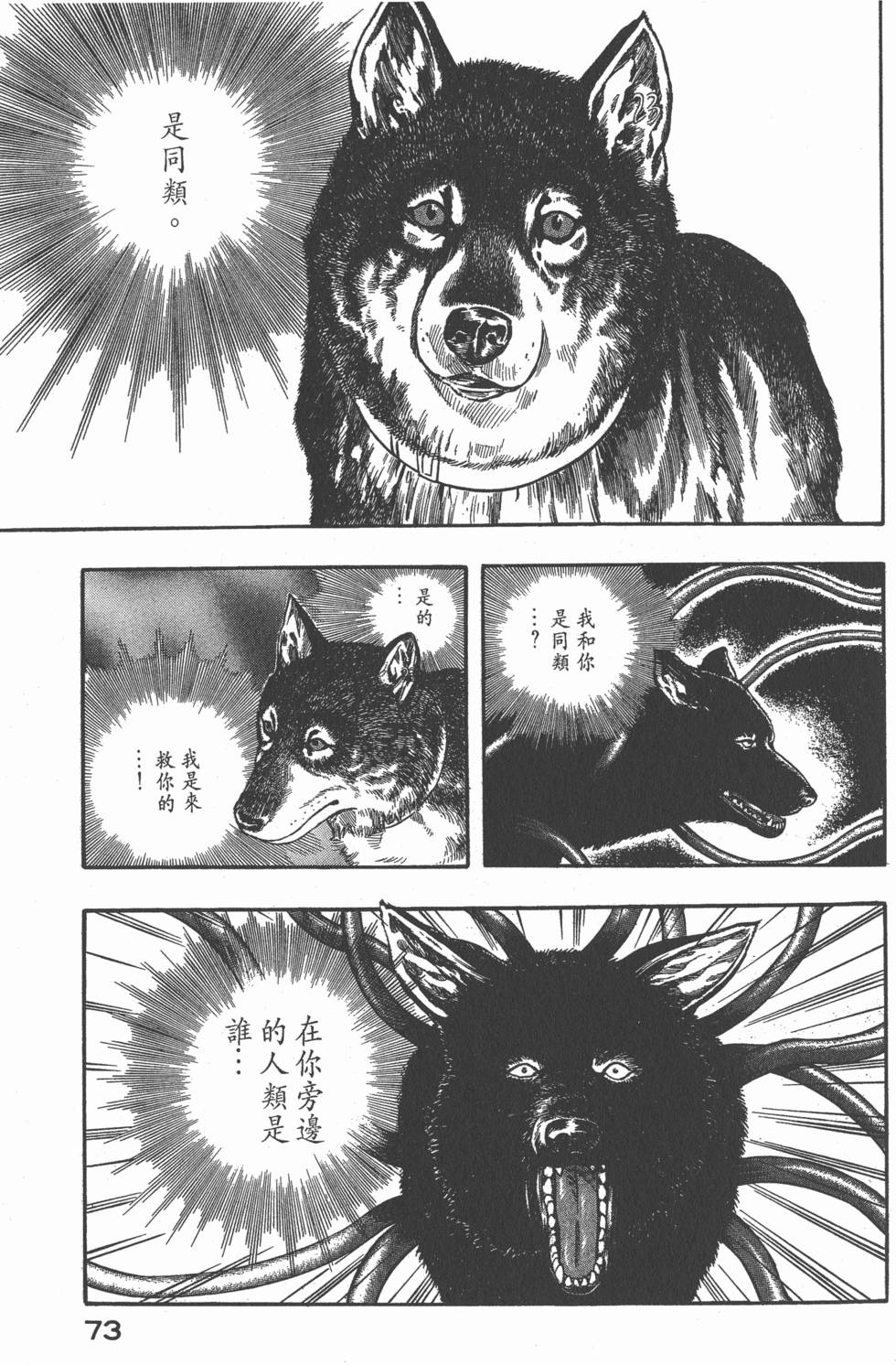 第71页