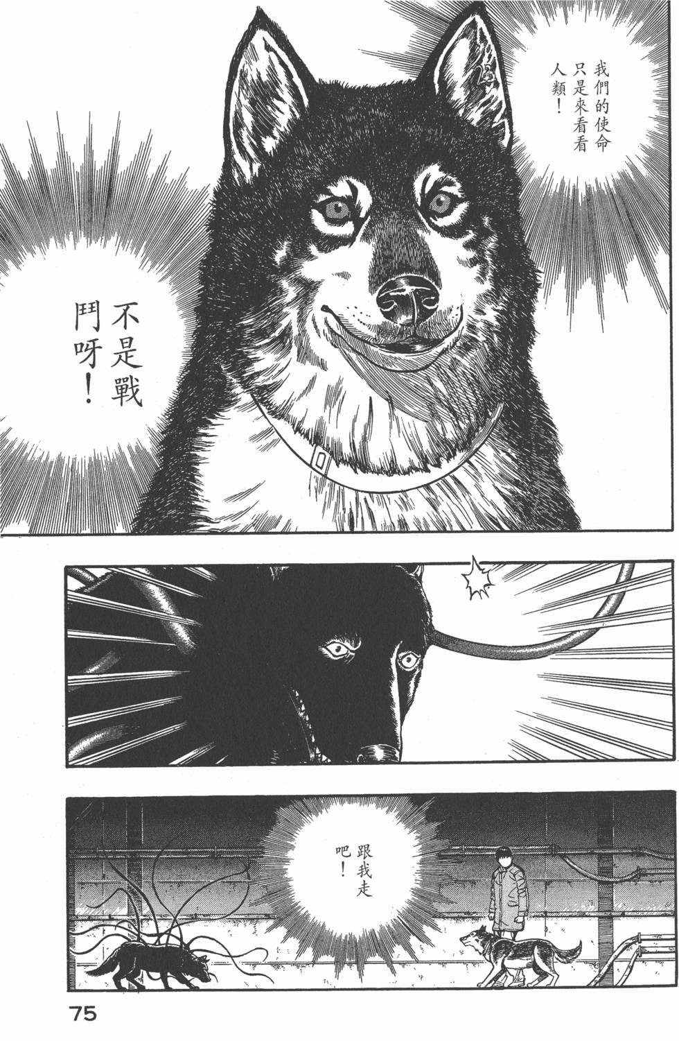 第73页