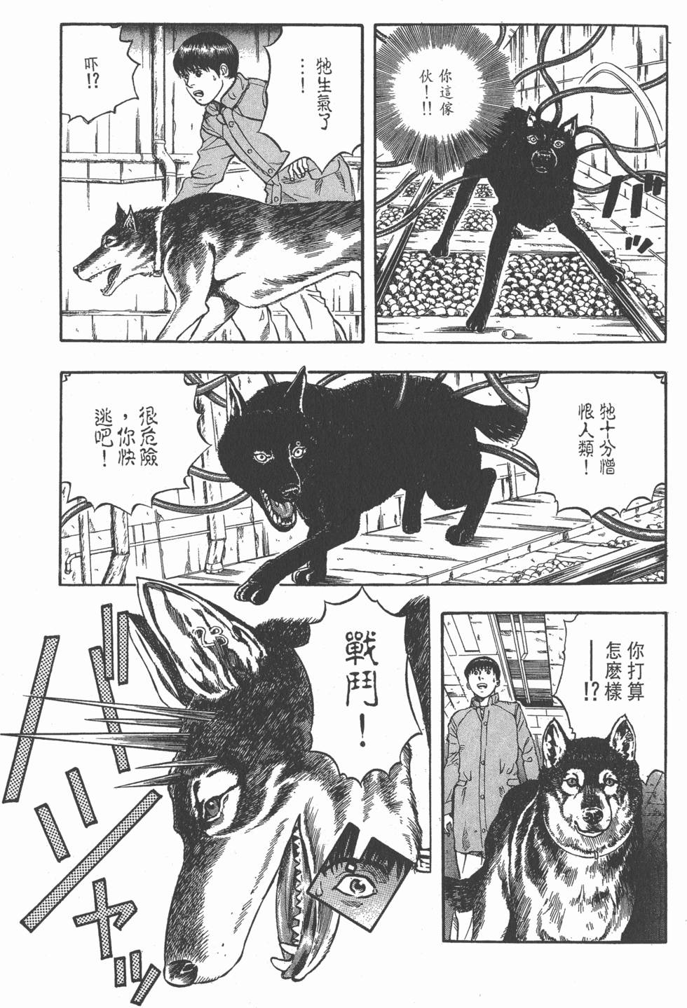 第79页