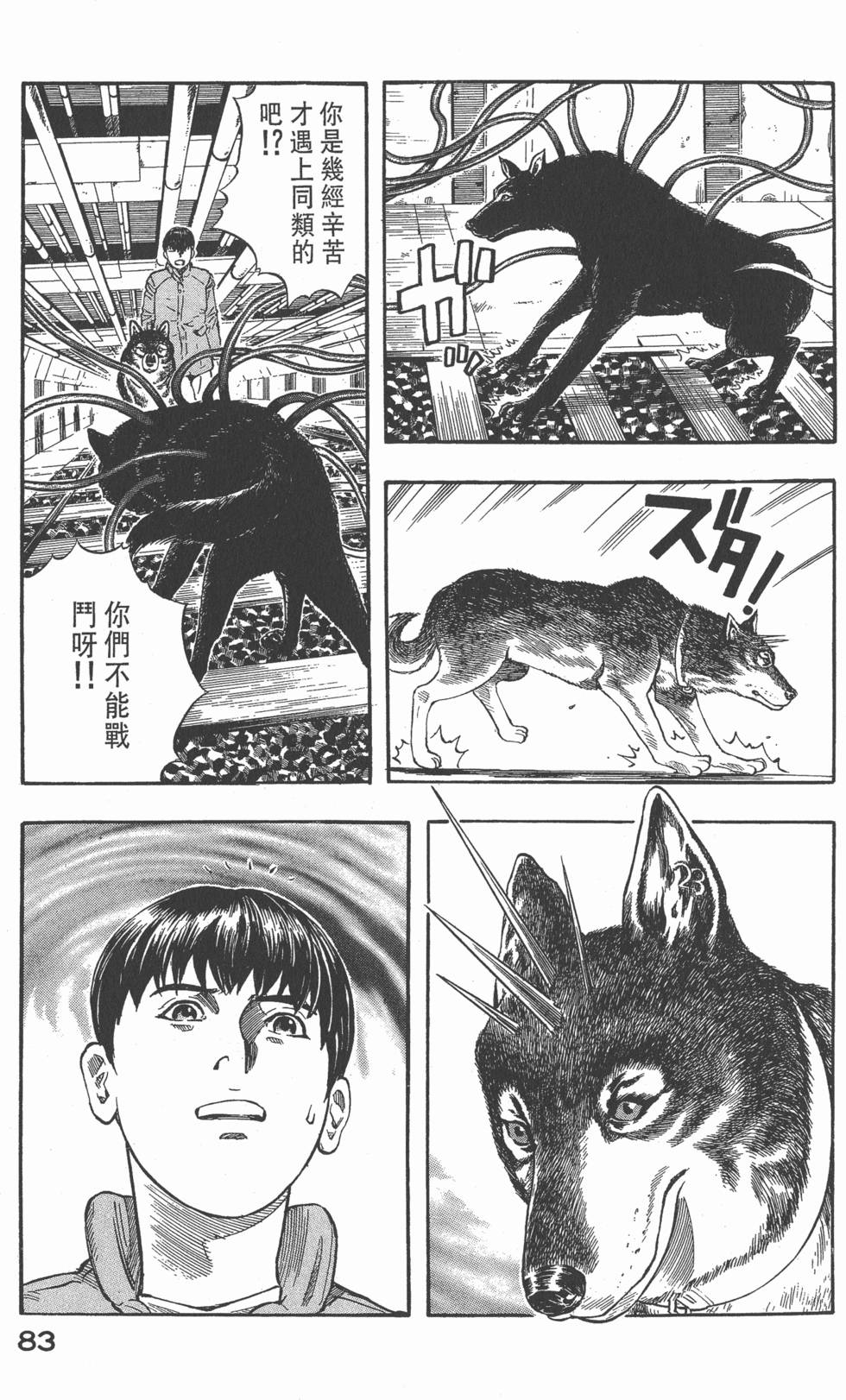 第81页