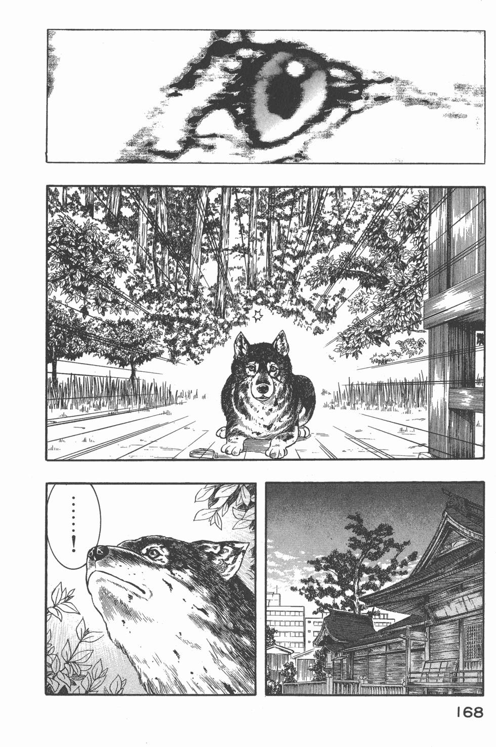 第166页