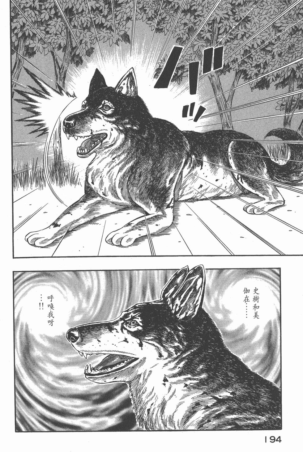 第192页