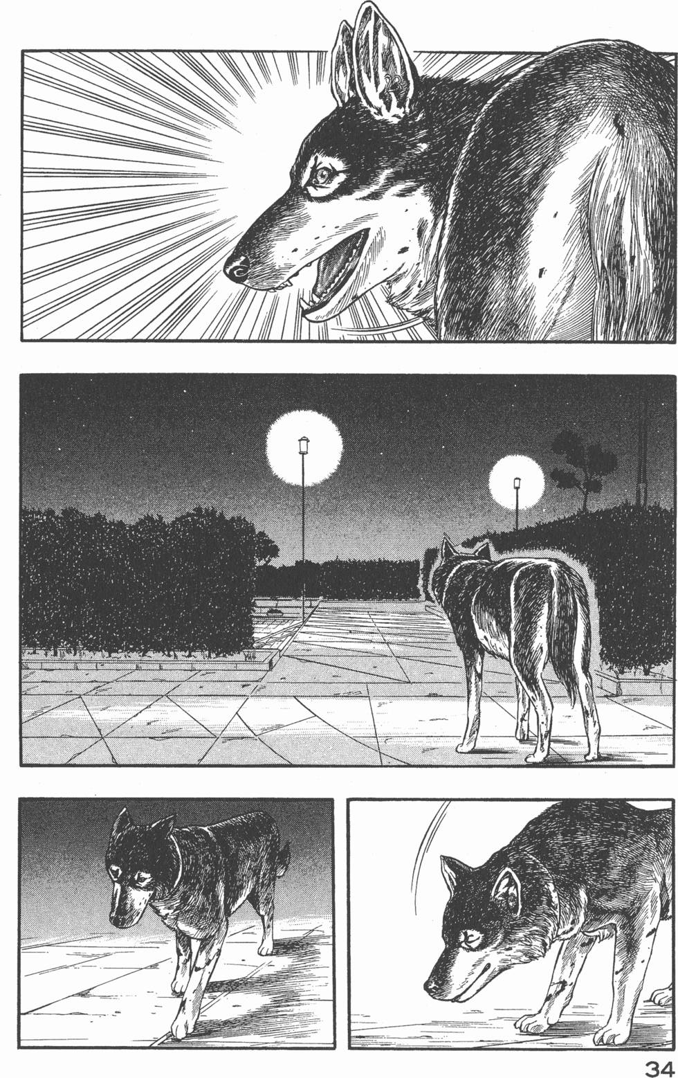 第32页