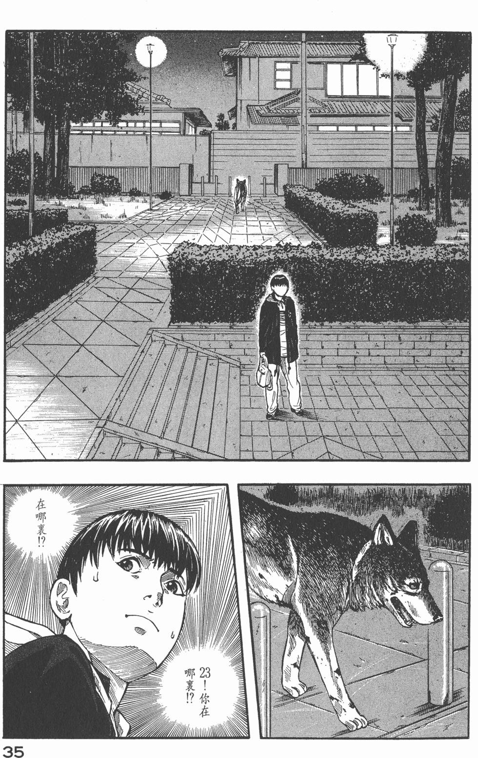 第33页