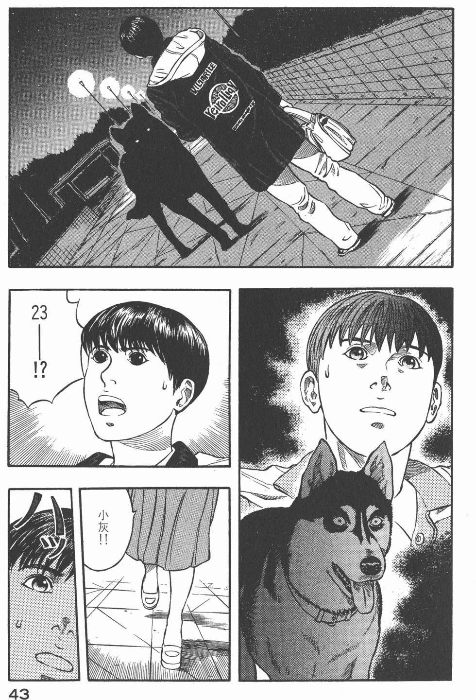 第41页