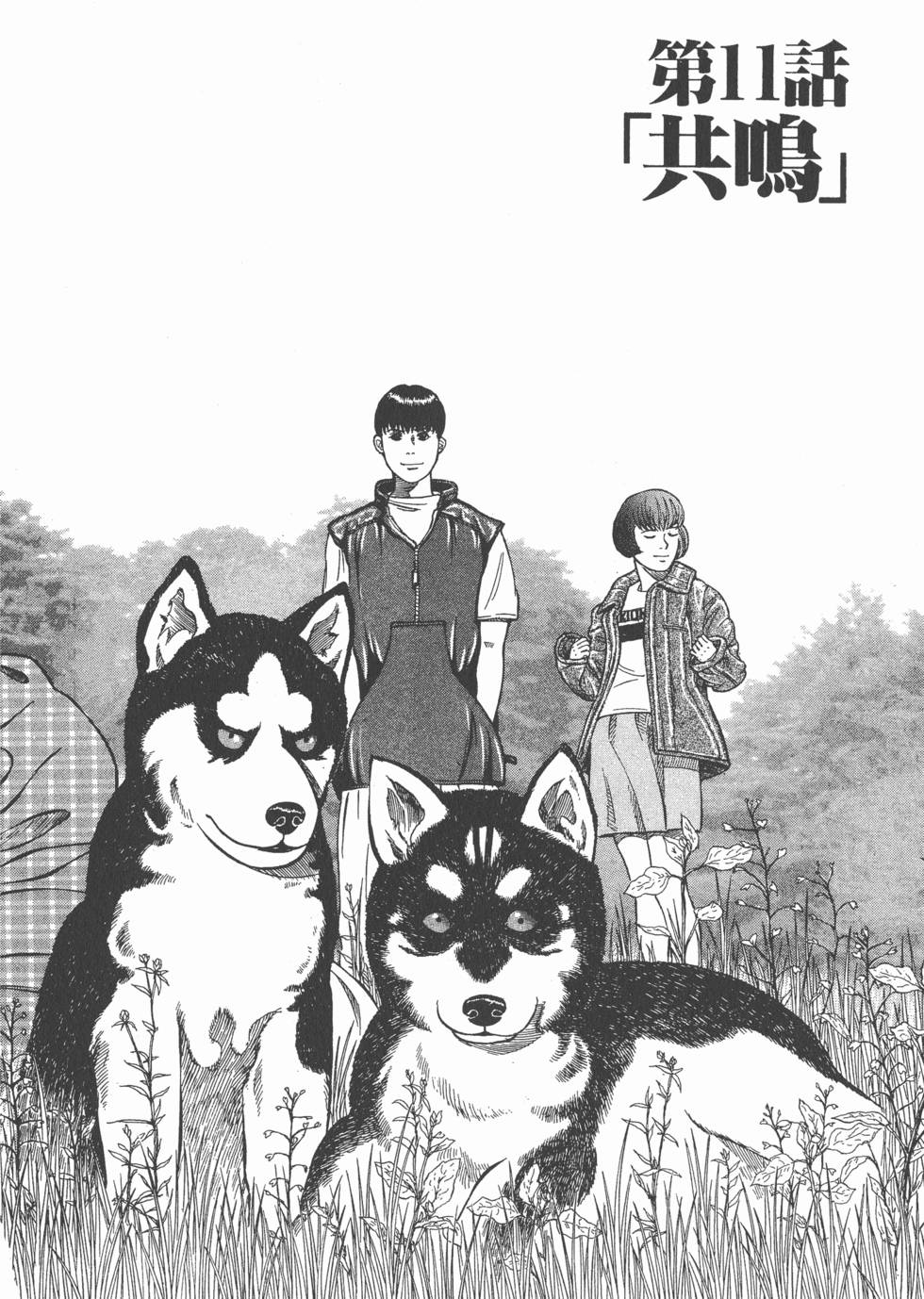 第42页